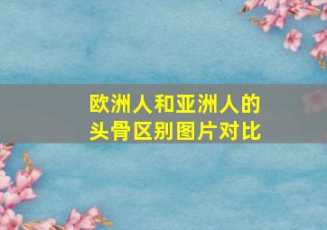 欧洲人和亚洲人的头骨区别图片对比