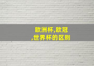 欧洲杯,欧冠,世界杯的区别