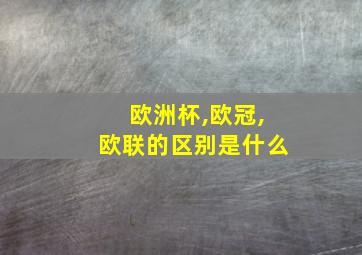 欧洲杯,欧冠,欧联的区别是什么