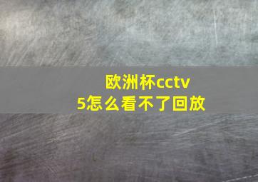 欧洲杯cctv5怎么看不了回放