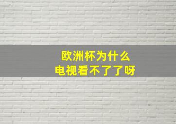 欧洲杯为什么电视看不了了呀