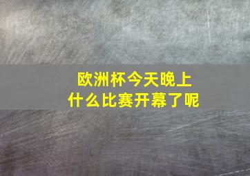 欧洲杯今天晚上什么比赛开幕了呢