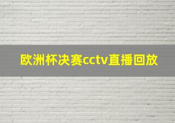 欧洲杯决赛cctv直播回放