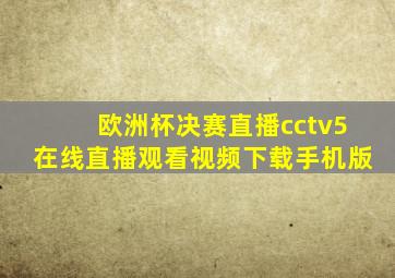 欧洲杯决赛直播cctv5在线直播观看视频下载手机版