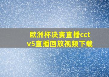 欧洲杯决赛直播cctv5直播回放视频下载