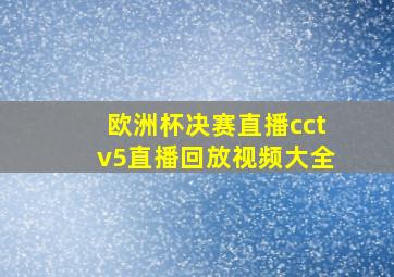 欧洲杯决赛直播cctv5直播回放视频大全