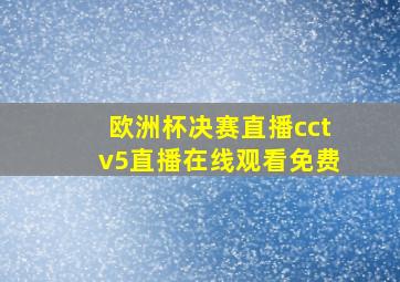 欧洲杯决赛直播cctv5直播在线观看免费