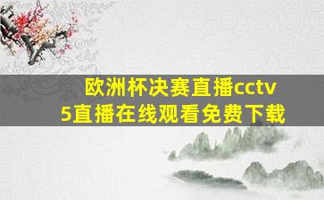 欧洲杯决赛直播cctv5直播在线观看免费下载