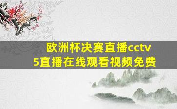 欧洲杯决赛直播cctv5直播在线观看视频免费