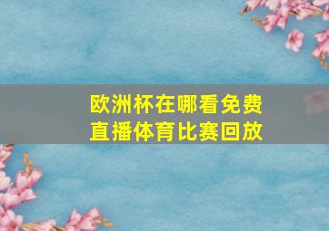 欧洲杯在哪看免费直播体育比赛回放