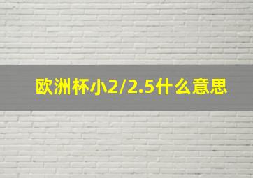 欧洲杯小2/2.5什么意思