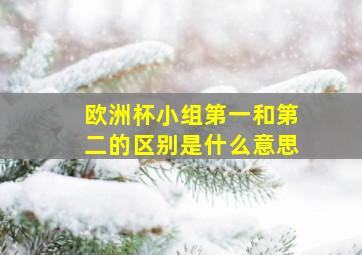 欧洲杯小组第一和第二的区别是什么意思