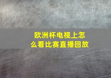 欧洲杯电视上怎么看比赛直播回放