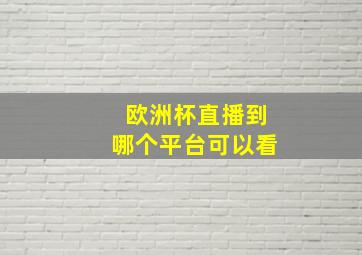 欧洲杯直播到哪个平台可以看