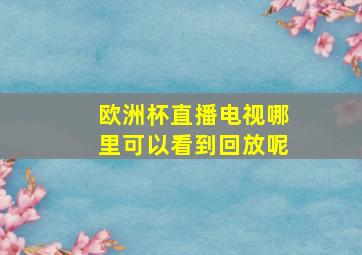 欧洲杯直播电视哪里可以看到回放呢