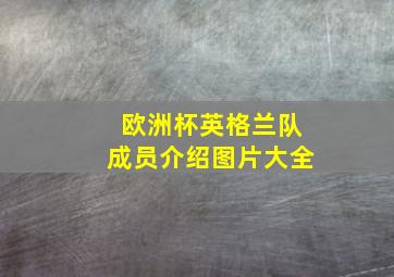 欧洲杯英格兰队成员介绍图片大全