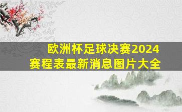 欧洲杯足球决赛2024赛程表最新消息图片大全