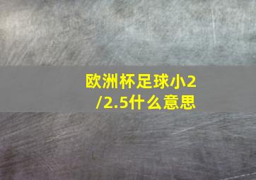 欧洲杯足球小2/2.5什么意思