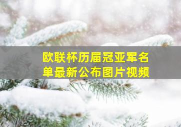 欧联杯历届冠亚军名单最新公布图片视频