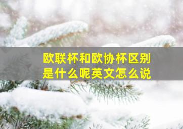 欧联杯和欧协杯区别是什么呢英文怎么说