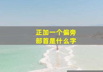 正加一个偏旁部首是什么字