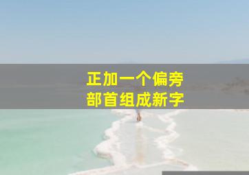 正加一个偏旁部首组成新字