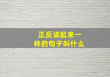 正反读起来一样的句子叫什么