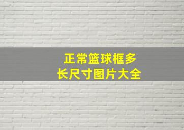 正常篮球框多长尺寸图片大全