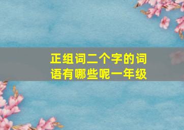 正组词二个字的词语有哪些呢一年级