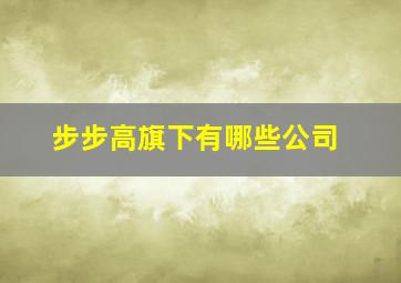 步步高旗下有哪些公司