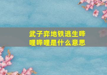 武子弈地铁逃生哔哩哔哩是什么意思