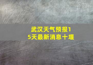 武汉天气预报15天最新消息十堰