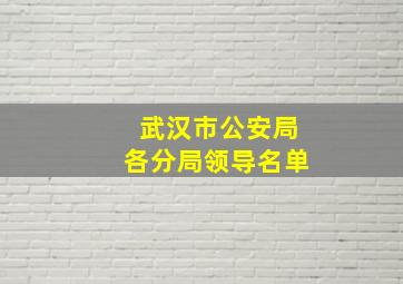 武汉市公安局各分局领导名单