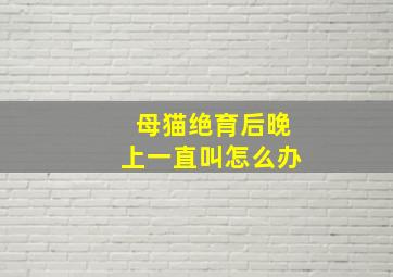 母猫绝育后晚上一直叫怎么办