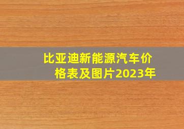 比亚迪新能源汽车价格表及图片2023年