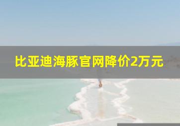 比亚迪海豚官网降价2万元