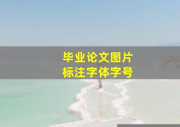 毕业论文图片标注字体字号