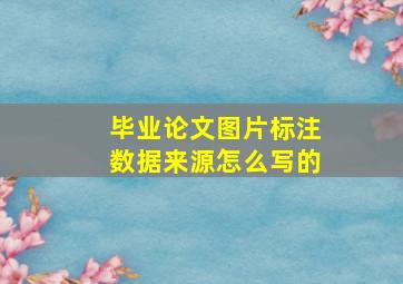 毕业论文图片标注数据来源怎么写的