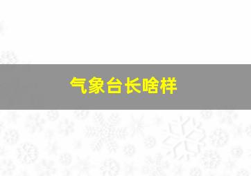 气象台长啥样