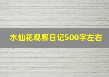 水仙花观察日记500字左右