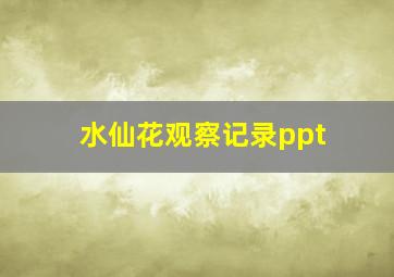 水仙花观察记录ppt