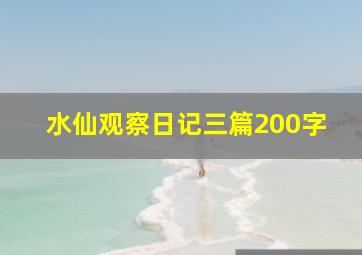 水仙观察日记三篇200字