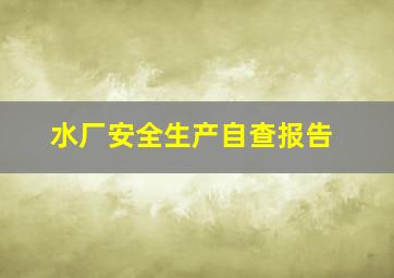 水厂安全生产自查报告