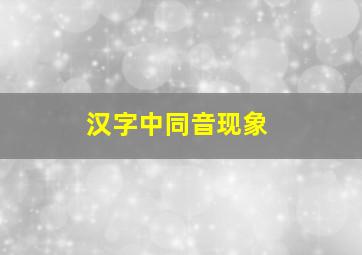 汉字中同音现象