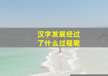 汉字发展经过了什么过程呢