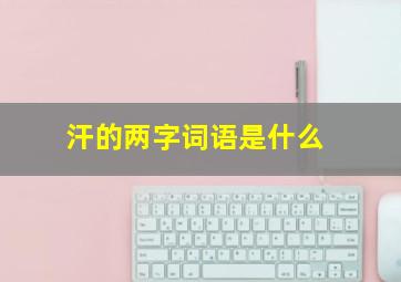 汗的两字词语是什么