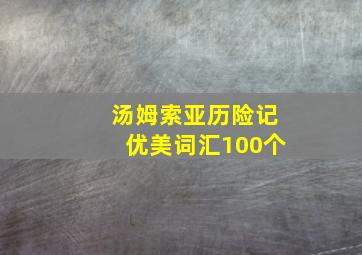 汤姆索亚历险记优美词汇100个