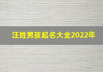 汪姓男孩起名大全2022年