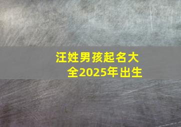 汪姓男孩起名大全2025年出生