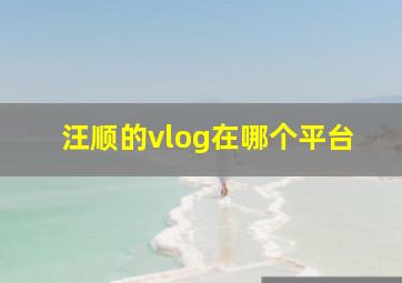 汪顺的vlog在哪个平台